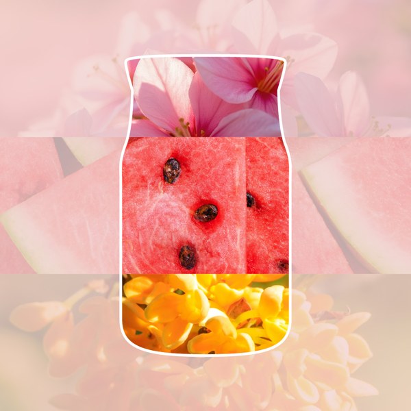 Pink Sands